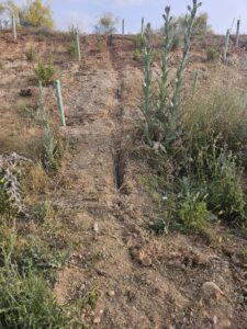 ruiego automatico talud s xxiii (1)