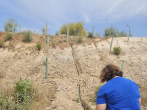 ruiego automatico talud s xxiii (6) horizontal