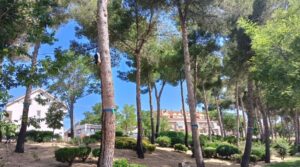 banner fin tratamiento procesionaria