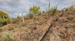 banner riego auto sxxiii